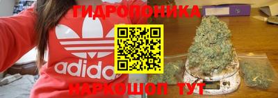скорость Аргун